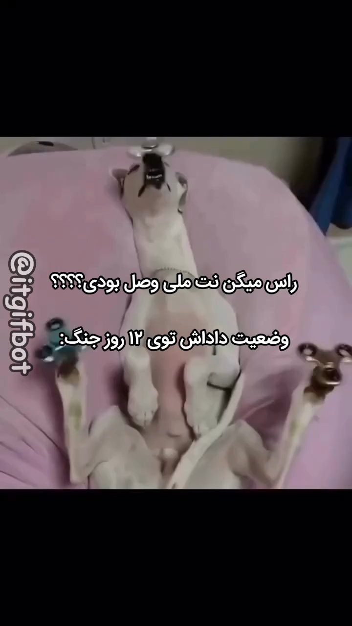 خخ @ali