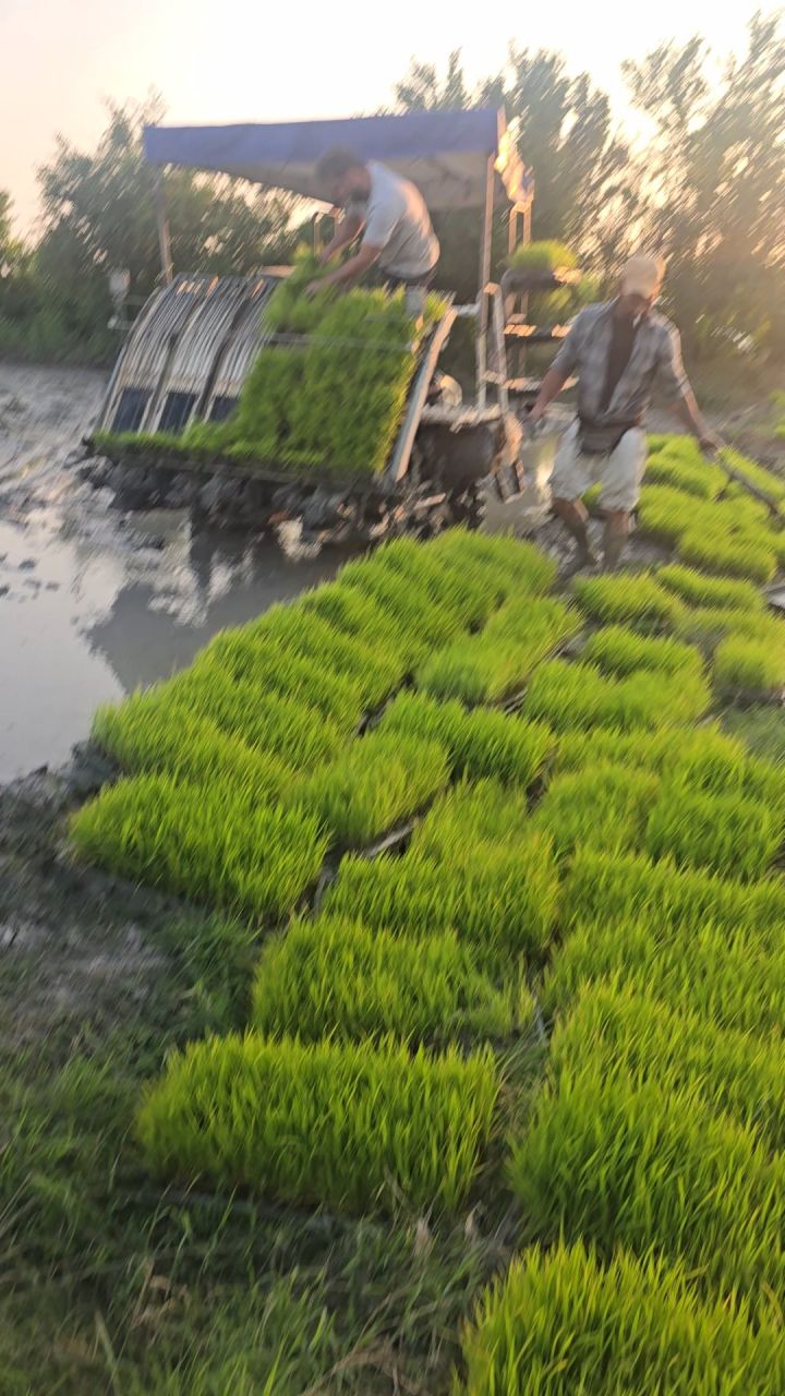 اطلاع رسانی پلتفرم سرور